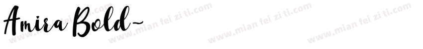 Amira Bold字体转换